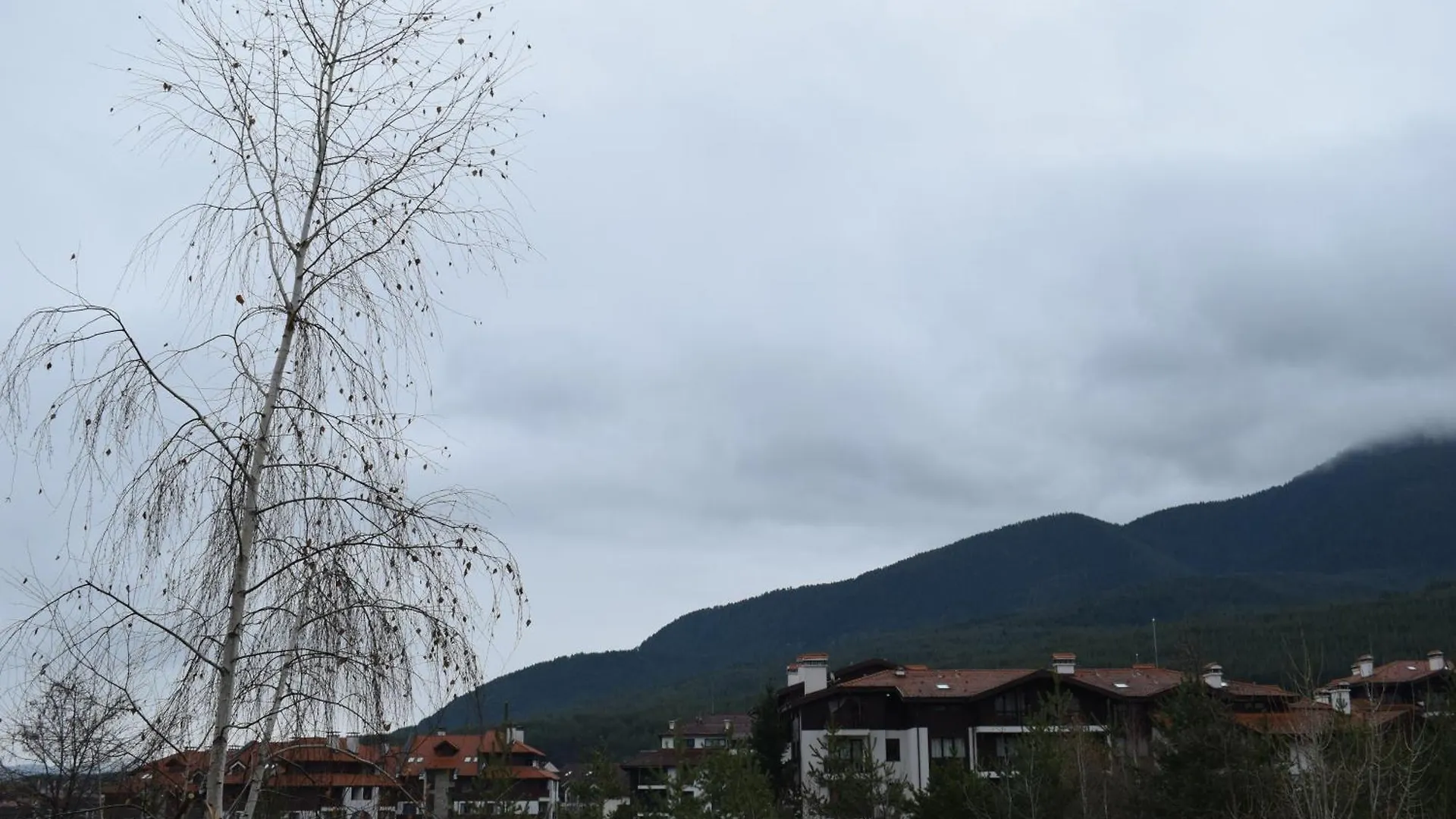 Apartment Супер Луксозен Апартамент В Winslow Bansko Bulgaria