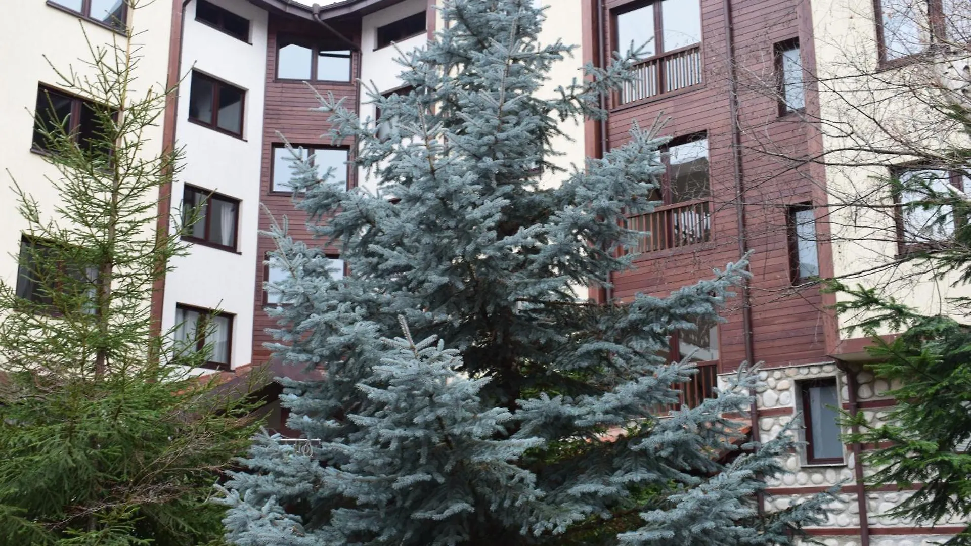 Apartment Супер Луксозен Апартамент В Winslow Bansko Bulgaria